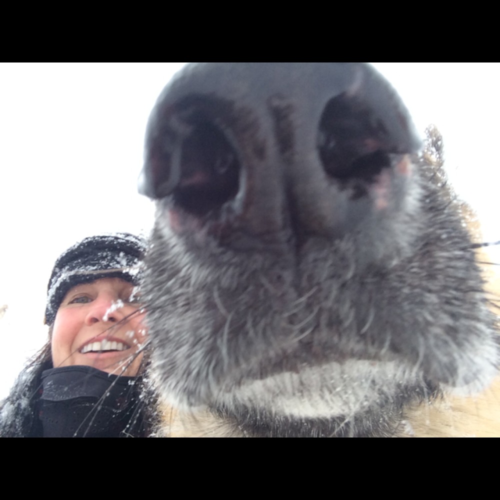 Meet your Posher, Margot